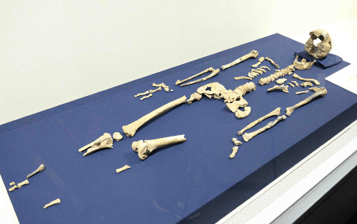 【写真】：深読みチャンネル：読売新聞_読売新聞（YOMIURI_ONLINE）_-_2017-12-18_05.05.51