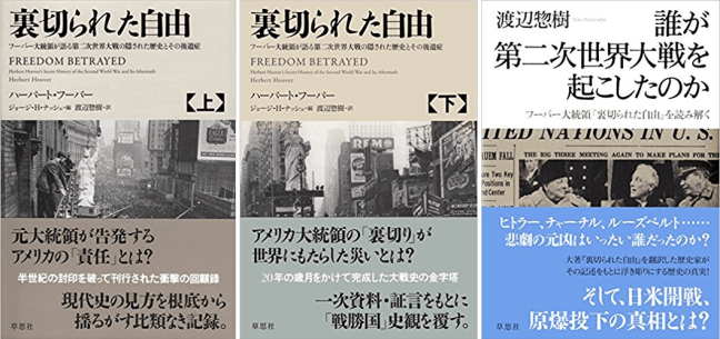 裏切られた自由 51rSRQKUC4L._SX345_BO1,204,203,200_